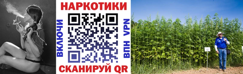 ГАШИШ Куровское